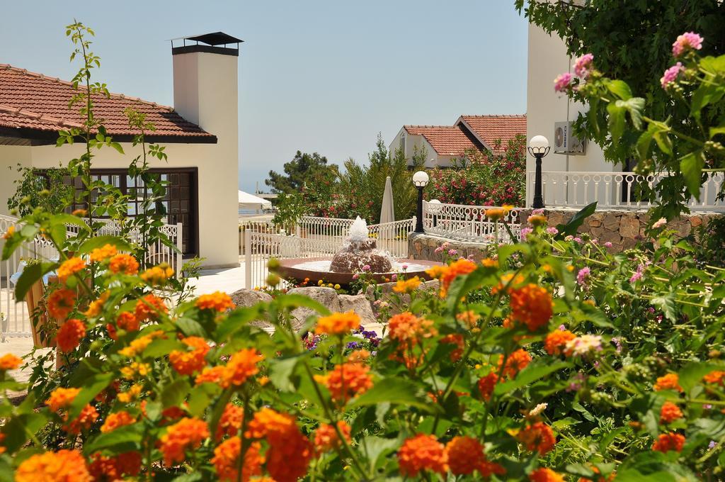 Nicholas Park Hotel Ölüdeniz Extérieur photo